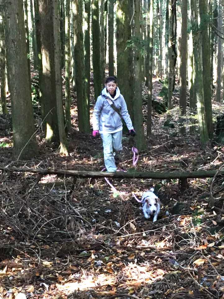 トレーリングサーチ