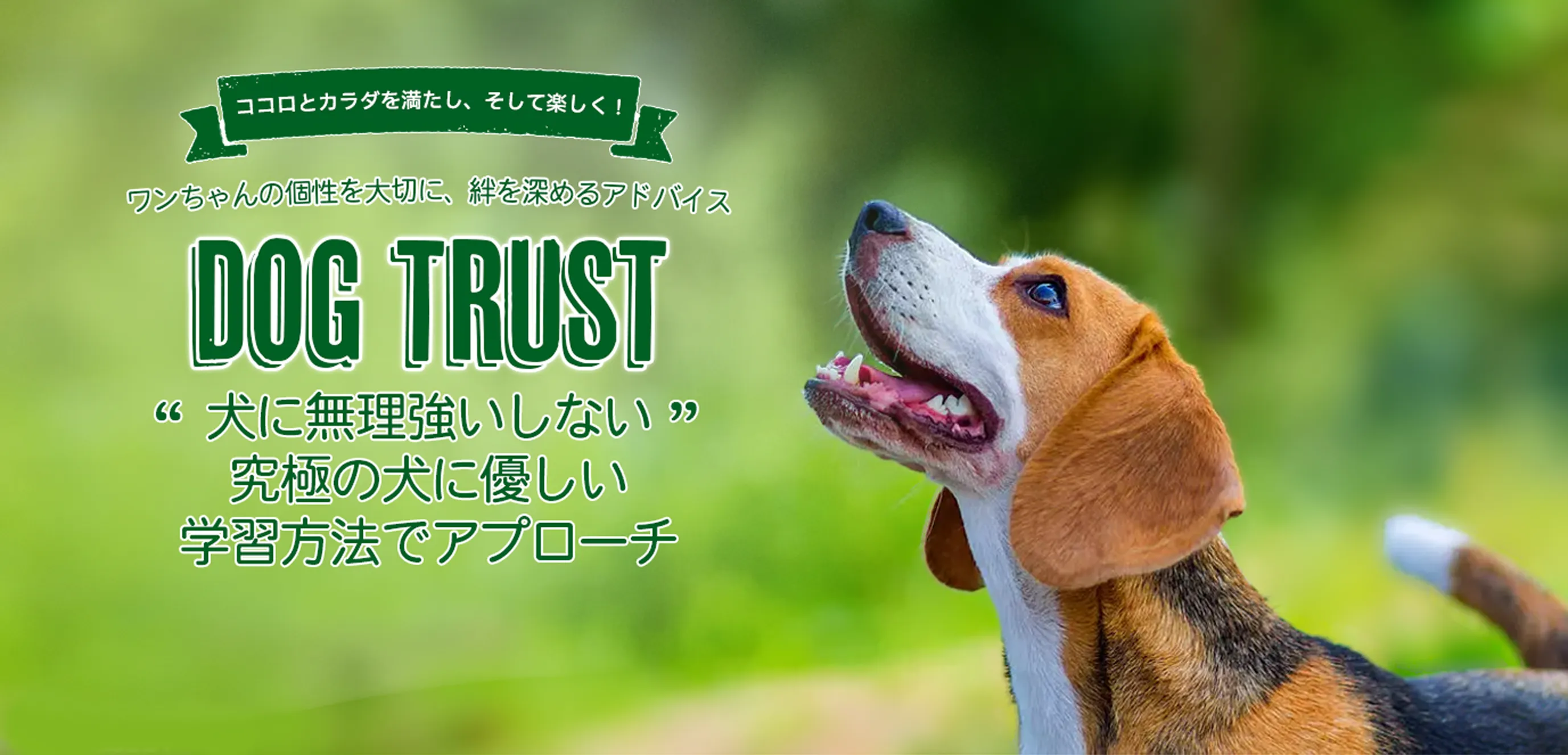 ココロとカラダを満たし、そして楽しく！ワンちゃんの個性を大切に、絆を深めるアドバイス。
                                             DOG TRUST(ドッグトラスト）は犬に無理強いしない究極の犬に優しい学習方法でアプローチ
