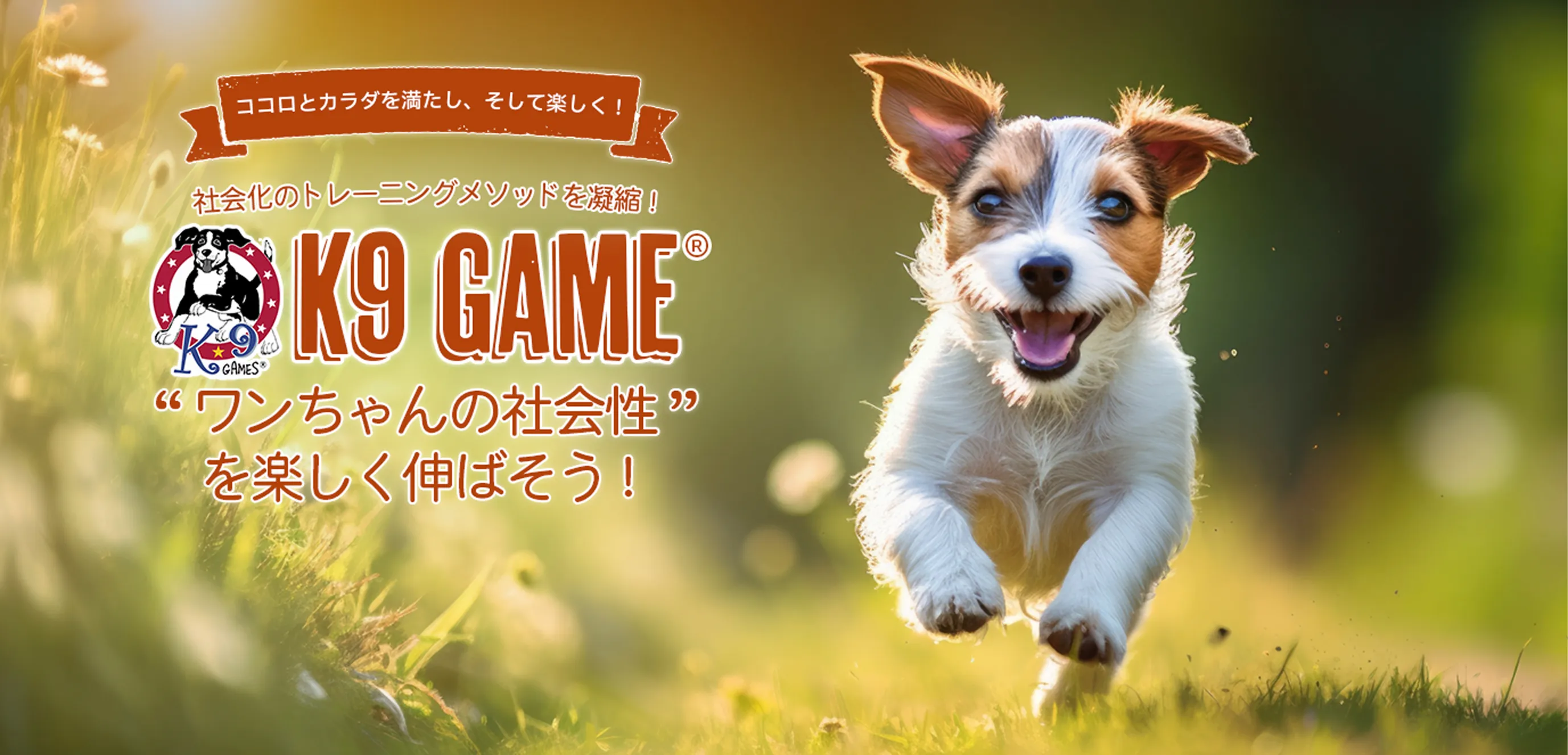 社会化のトレーニングメソッドを凝縮！K9ゲームでワンちゃんの社会性を楽しく伸ばそう